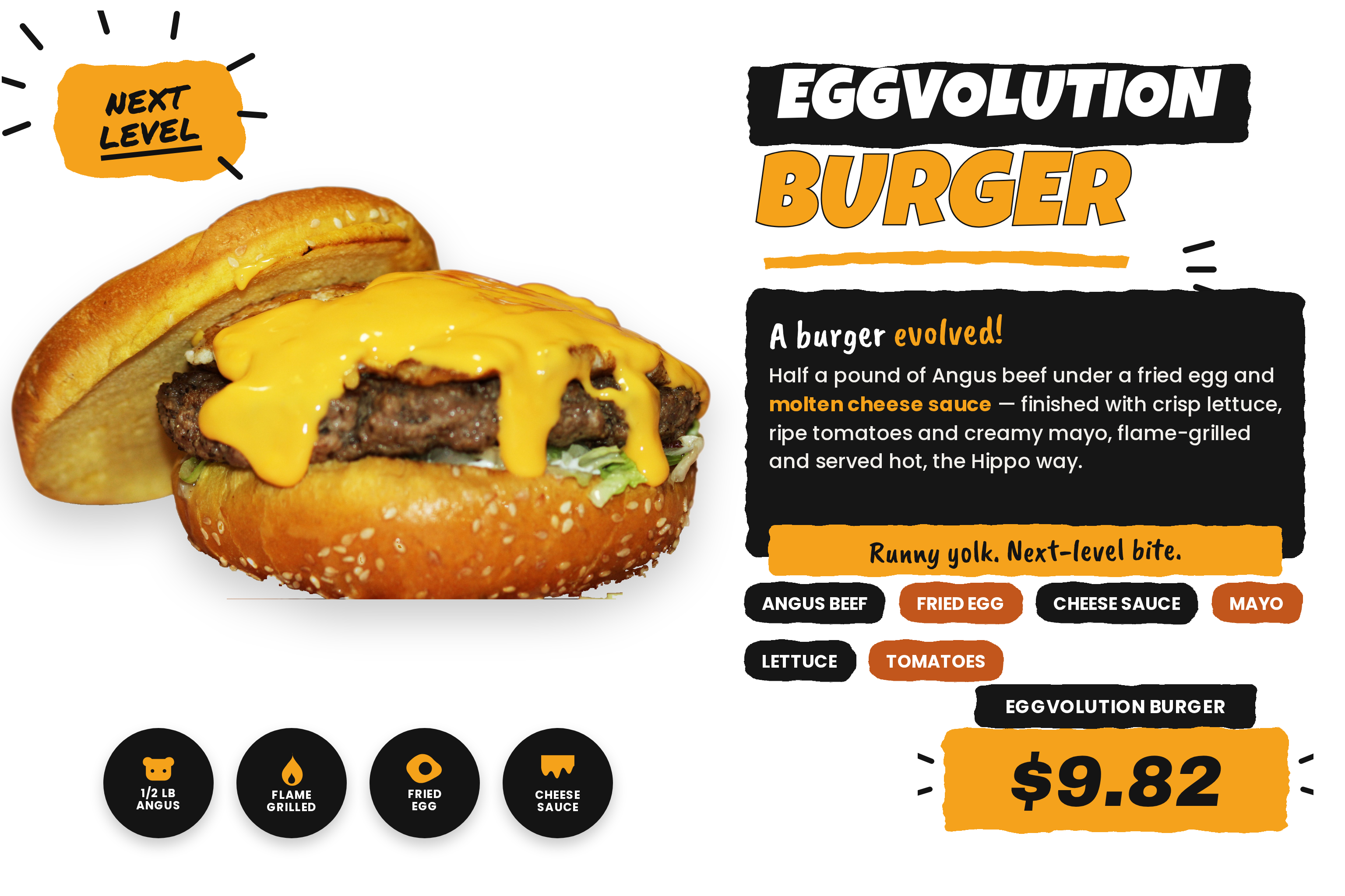 Eggvolution